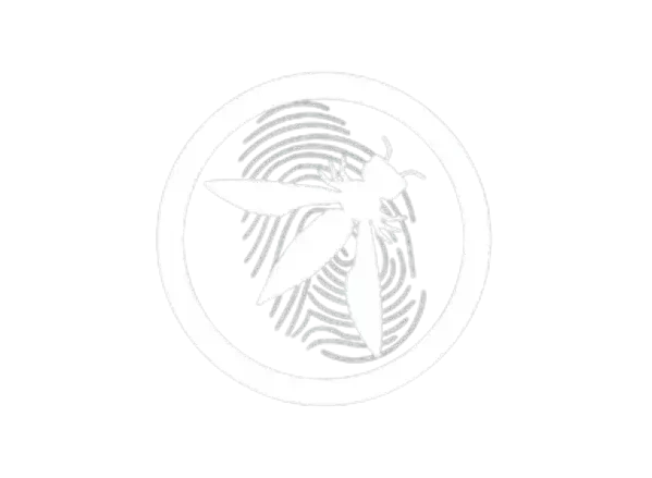 OWASP PCCOE